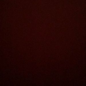 Meet your Posher, Dilly